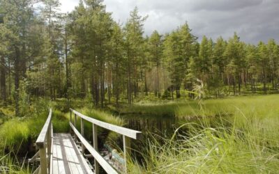 Kuinka paljon totuus saa maksaa?